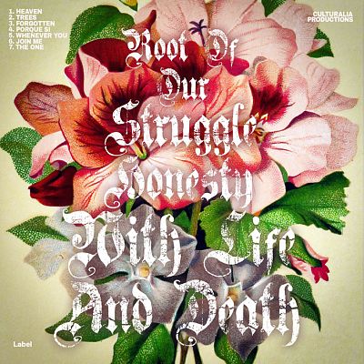 Pre Made Album Cover Rodeo Dust