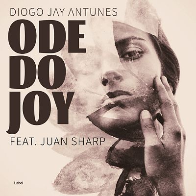 Pre Made Album Cover Woody Brown