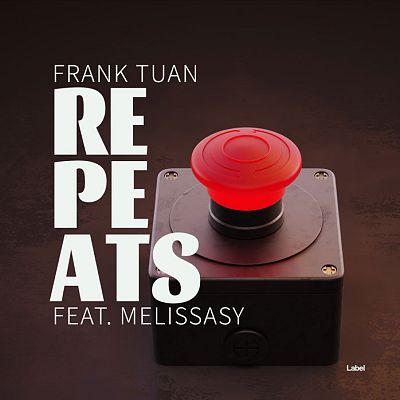 Pre Made Album Cover Cocoa Brown