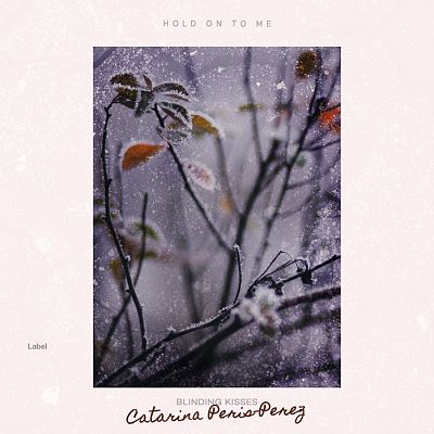 Pre Made Album Cover Bon Jour