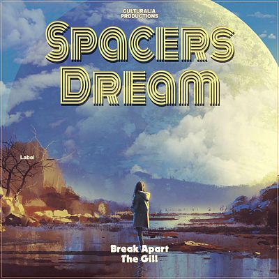 Pre Made Album Cover Slate Gray