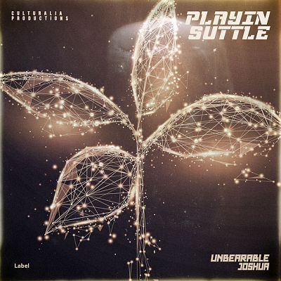 Pre Made Album Cover Woody Brown