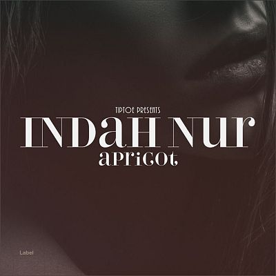 Pre Made Album Cover Cocoa Brown