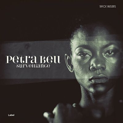 Pre Made Album Cover Dune