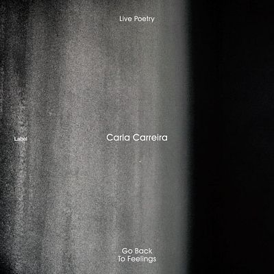 Pre Made Album Cover Storm Dust