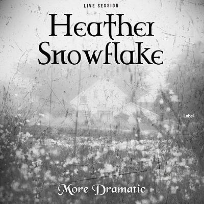 Pre Made Album Cover Silver