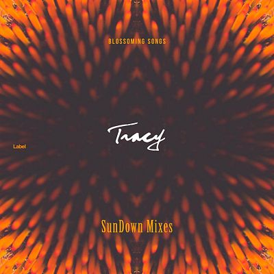 Pre Made Album Cover Woody Brown