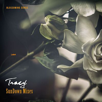 Pre Made Album Cover Cape Cod