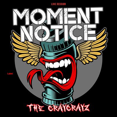 Pre Made Album Cover Copperfield