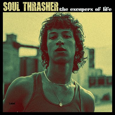 Pre Made Album Cover Kelp