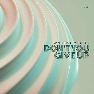 Pre Made Album Cover Clay Ash