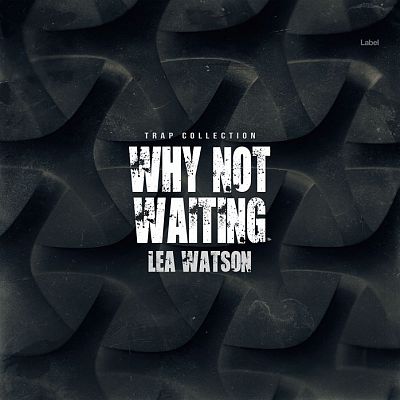 Pre Made Album Cover Shark