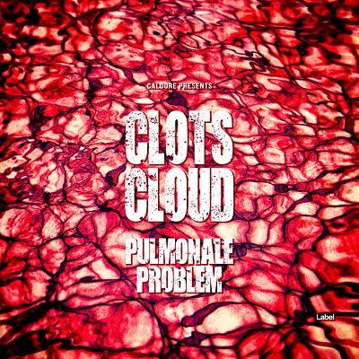 Pre Made Album Cover Bulgarian Rose