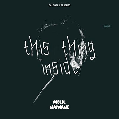 Pre Made Album Cover Aztec