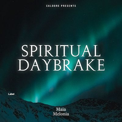 Pre Made Album Cover Firefly