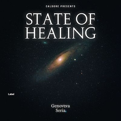 Pre Made Album Cover Bunker