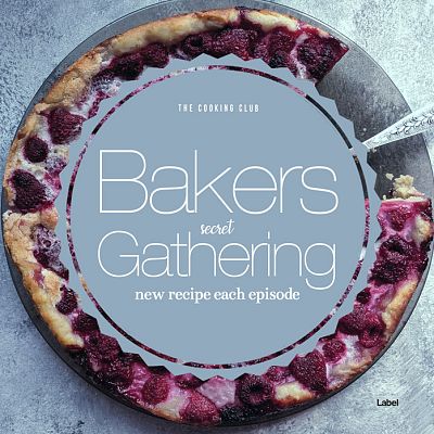 Pre Made Album Cover Gull Gray