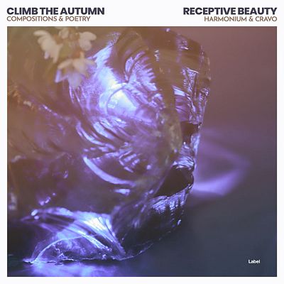 Pre Made Album Cover Falcon