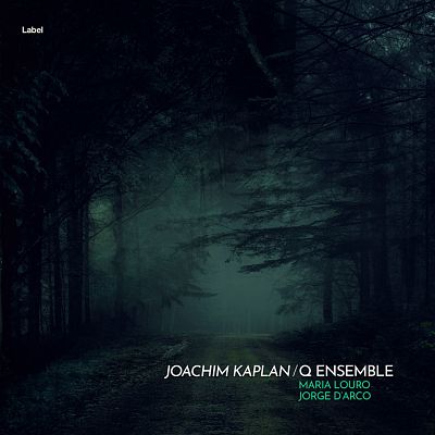 Pre Made Album Cover Ebony