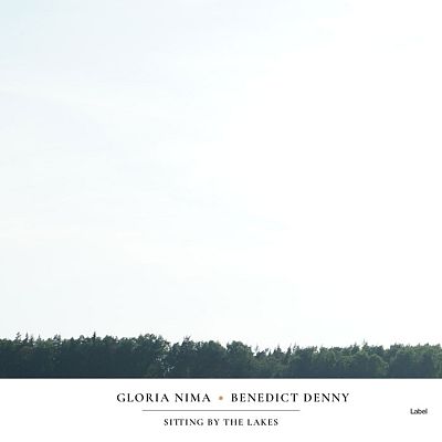 Pre Made Album Cover Limed Spruce