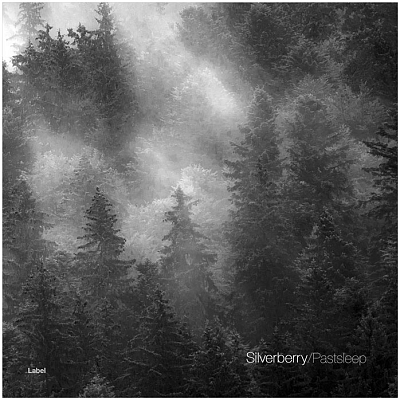 Pre Made Album Cover Mine Shaft