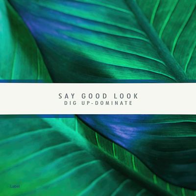 Pre Made Album Cover Deep Sea Green