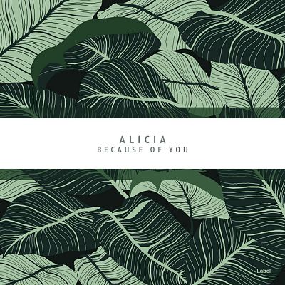 Pre Made Album Cover Norway