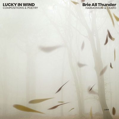 Pre Made Album Cover Westar