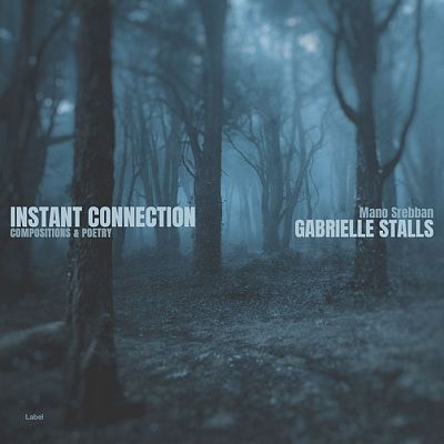 Pre Made Album Cover Limed Spruce