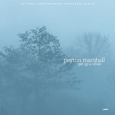 Pre Made Album Cover Hippie Blue