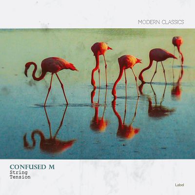 Pre Made Album Cover Envy