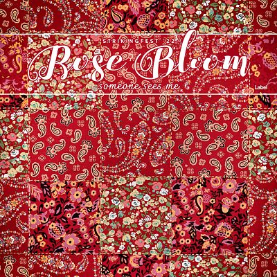 Pre Made Album Cover Tall Poppy