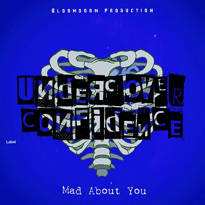 Pre Made Album Cover Persian Blue