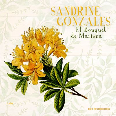 Pre Made Album Cover Ecru White