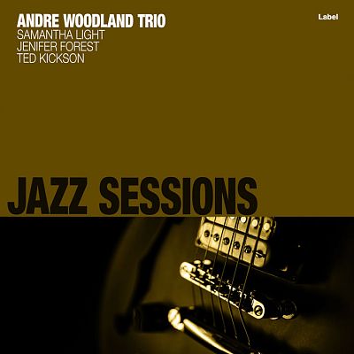 Pre Made Album Cover Antique Bronze