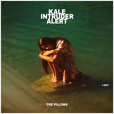 Pre Made Album Cover Green Kelp