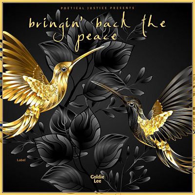 Pre Made Album Cover Cod Gray