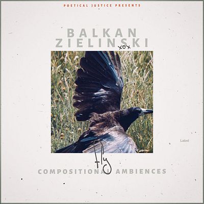 Pre Made Album Cover Ebb