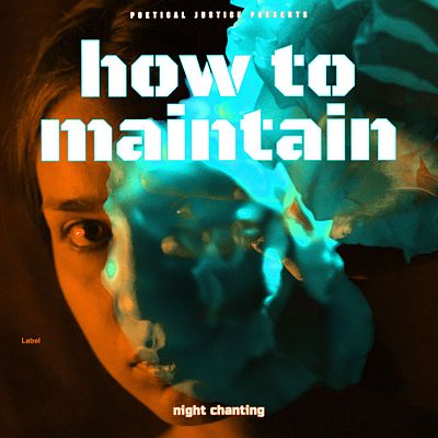 Pre Made Album Cover Log Cabin