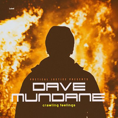 Pre Made Album Cover Pearl Bush