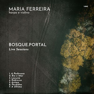 Pre Made Album Cover Heavy Metal