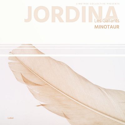 Pre Made Album Cover Dawn Pink