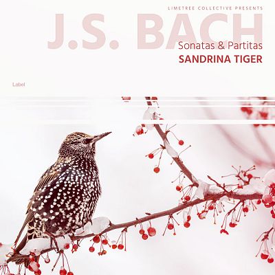 Pre Made Album Cover Hint of Red