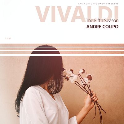 Pre Made Album Cover Rose Fog