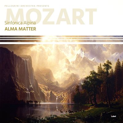 Pre Made Album Cover Sapling