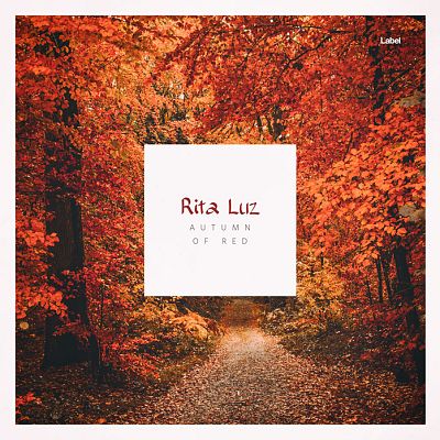 Pre Made Album Cover Burnt Umber