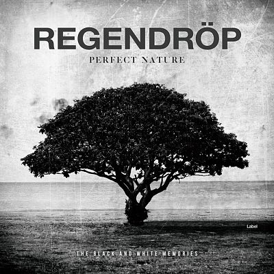 Pre Made Album Cover Cod Gray