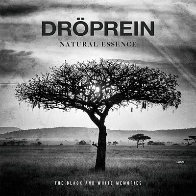 Pre Made Album Cover Cape Cod