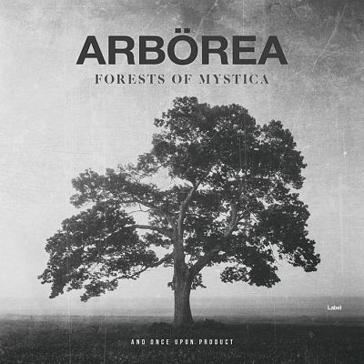 Pre Made Album Cover Silver