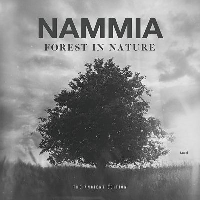 Pre Made Album Cover Nobel